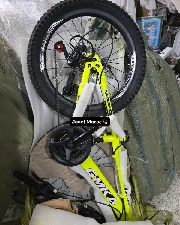 Vélo VTT ITALIANO 20 pouces 10