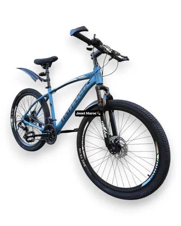 VÉLO VTT ITALIANO ALUMINIUM 288 26 pouces