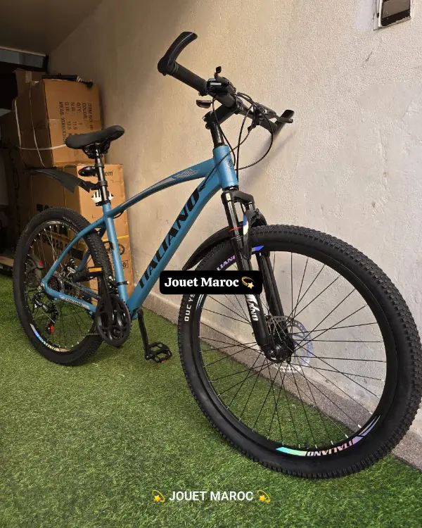 VÉLO VTT ITALIANO ALUMINIUM 288 02
