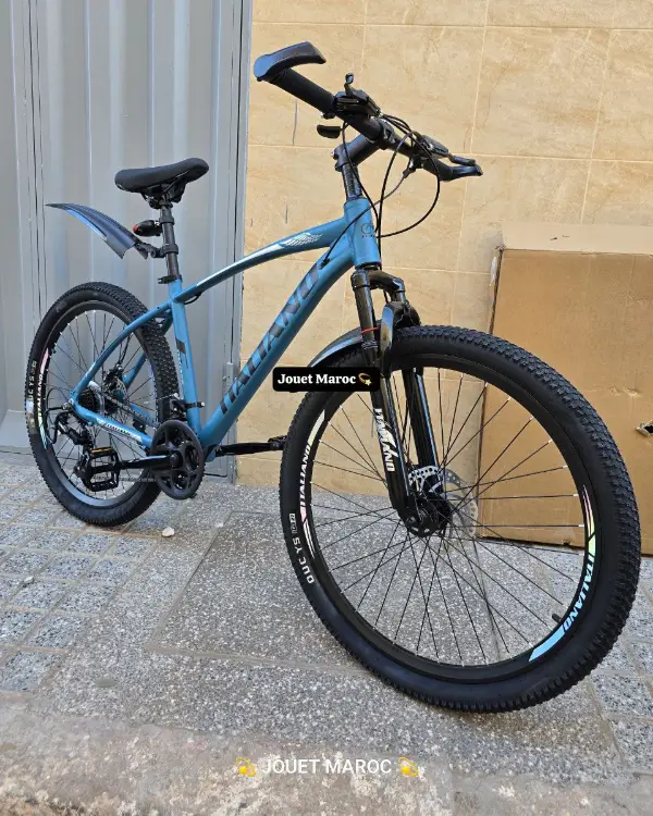 VÉLO VTT ITALIANO ALUMINIUM 26 pouces 03