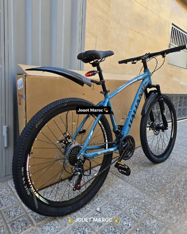 VÉLO VTT ITALIANO ALUMINIUM 288 pouces 04