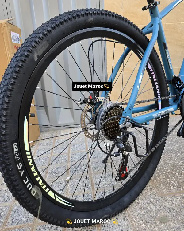 VÉLO VTT ITALIANO ALUMINIUM 26 pouces 05