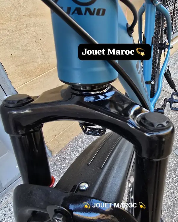 VÉLO VTT ITALIANO ALUMINIUM 26 pouces 06