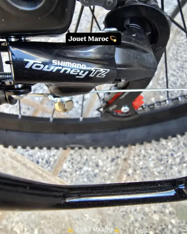 VÉLO VTT ITALIANO ALUMINIUM 26 pouces 07