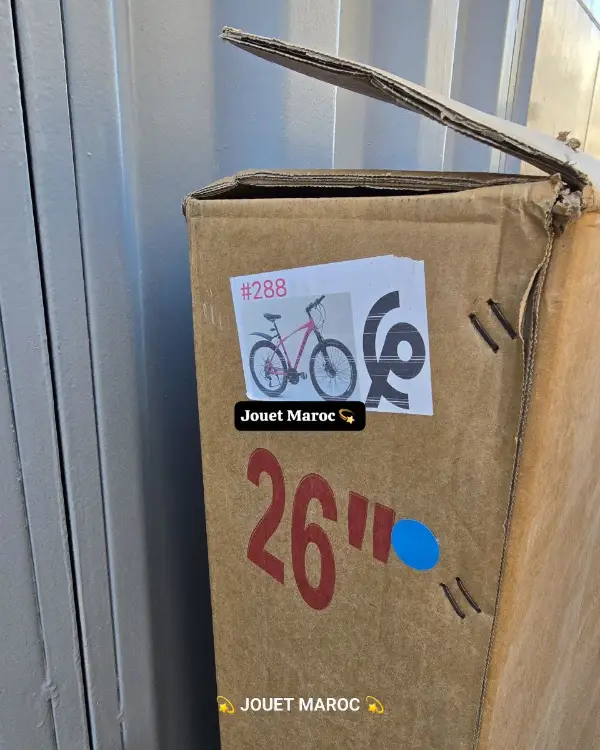 VÉLO VTT ITALIANO ALUMINIUM 26 pouces 09