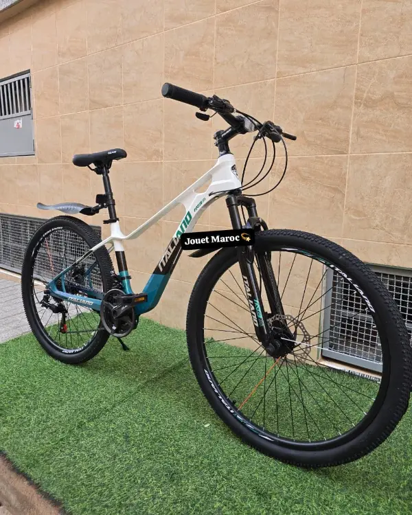 VÉLO VTT ITALIANO ALUMINIUM 985 26 pouces 02