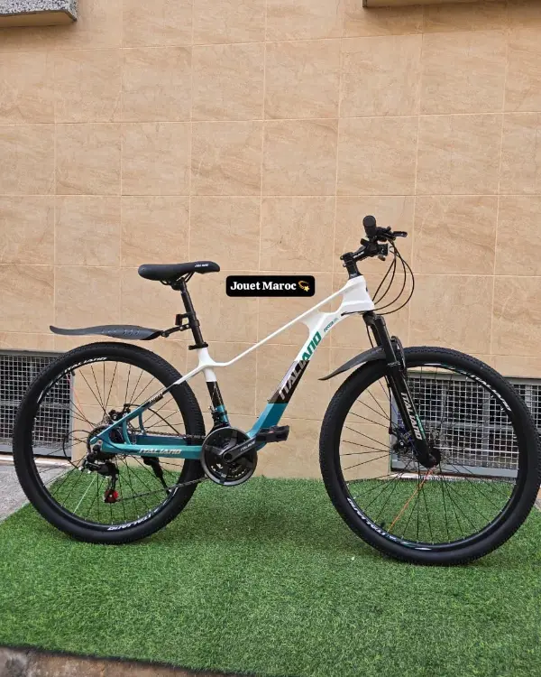 VÉLO VTT ITALIANO ALUMINIUM 985 26 pouces 03