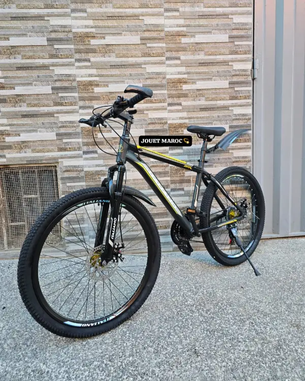 Vélo Vtt Italiano Aluminium GTR 26 pouces 02