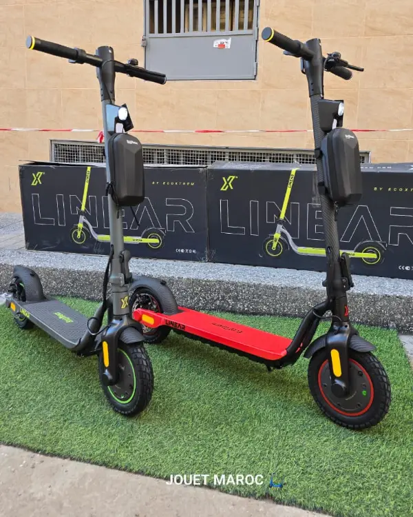 Trottinette Ecoxtrem Linear 02 