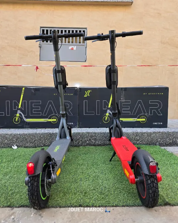 Trottinette Ecoxtrem Linear 03