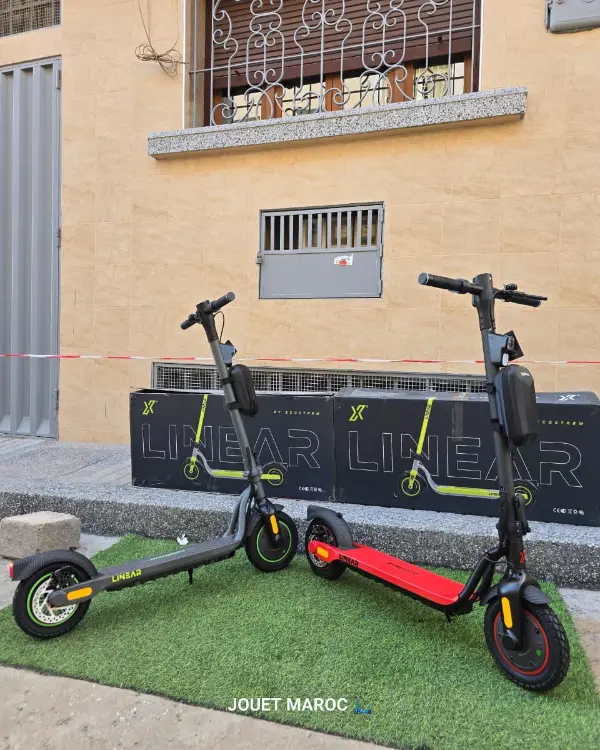 Trottinette Ecoxtrem Linear 04
