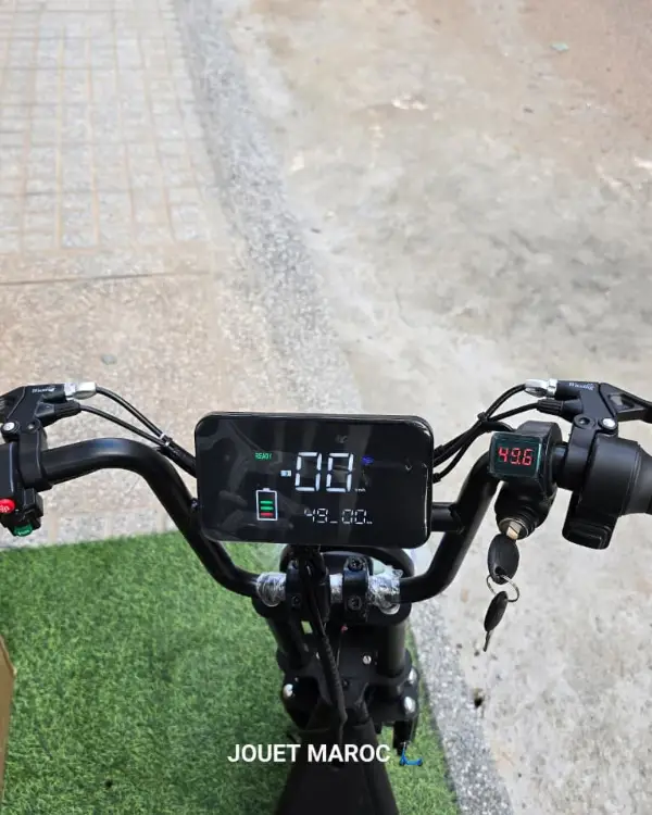 Trottinette et vélo Green Moveway 05 