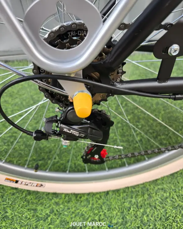 Vélo Madame Haomeng F07 28 pouces 6