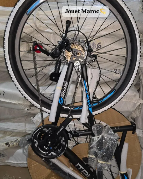 VÉLO VTT ITALIANO SQ03 26 pouces 11