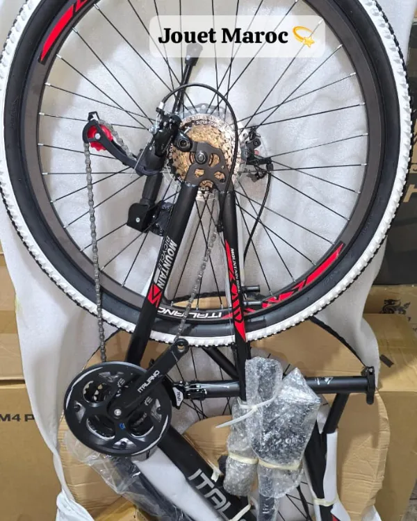 VÉLO VTT ITALIANO SQ03 26 pouces 12