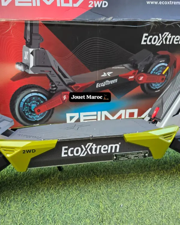 Ecoxtrem Deimos 2WD Double Moteur 04