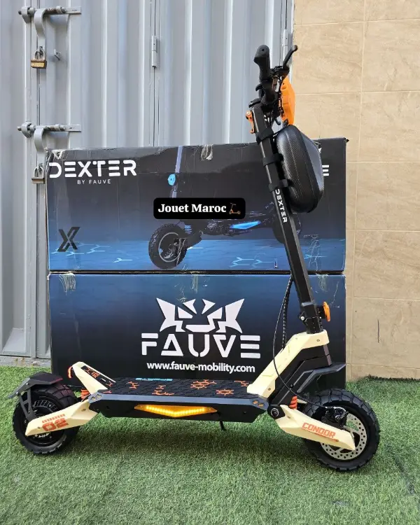 Trottinette électrique Dexter G2 02 