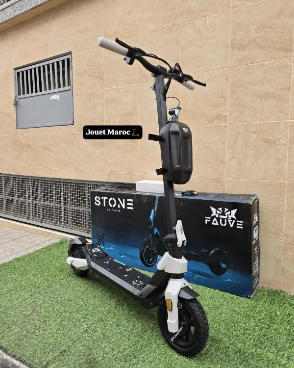 Trottinette électrique ECOXTREM STONE G1 02 