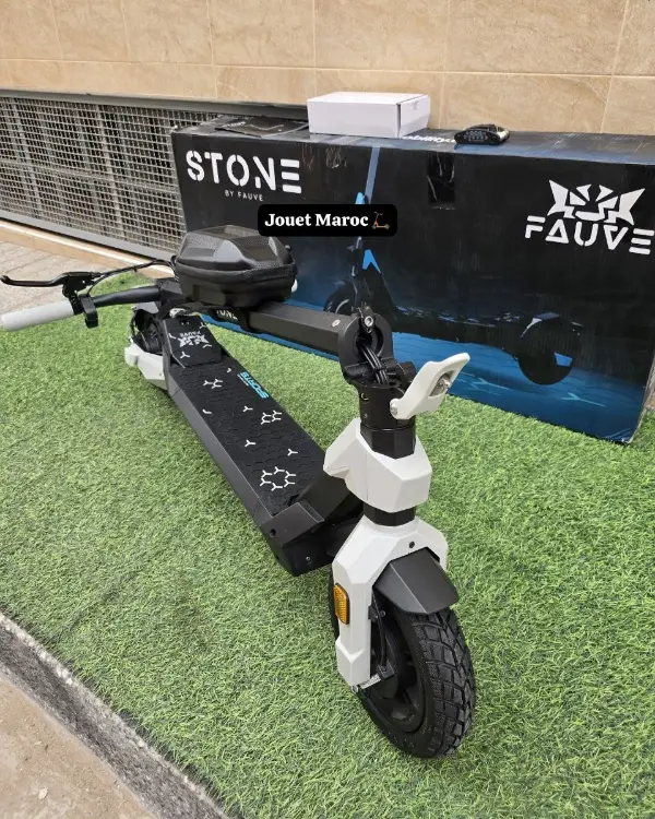 Trottinette électrique ECOXTREM STONE G1 04