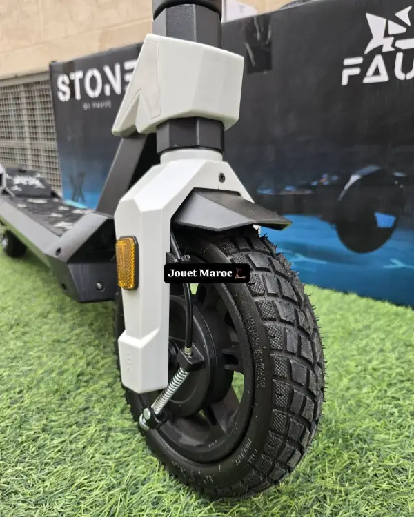 Trottinette électrique ECOXTREM STONE G1 05