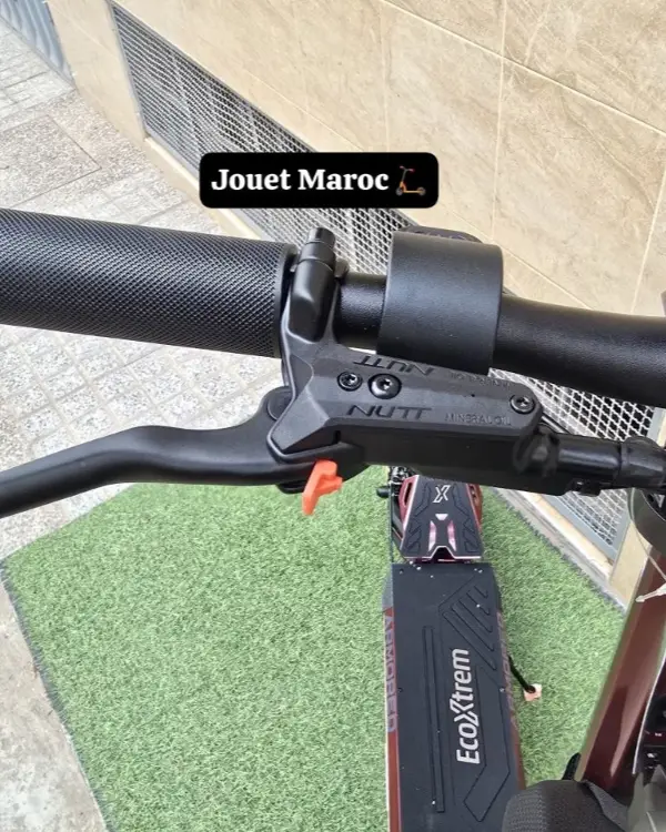Trottinette M41 Armored plus 06