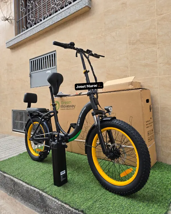 vélo électrique GREEN MOVEWAY E12  02