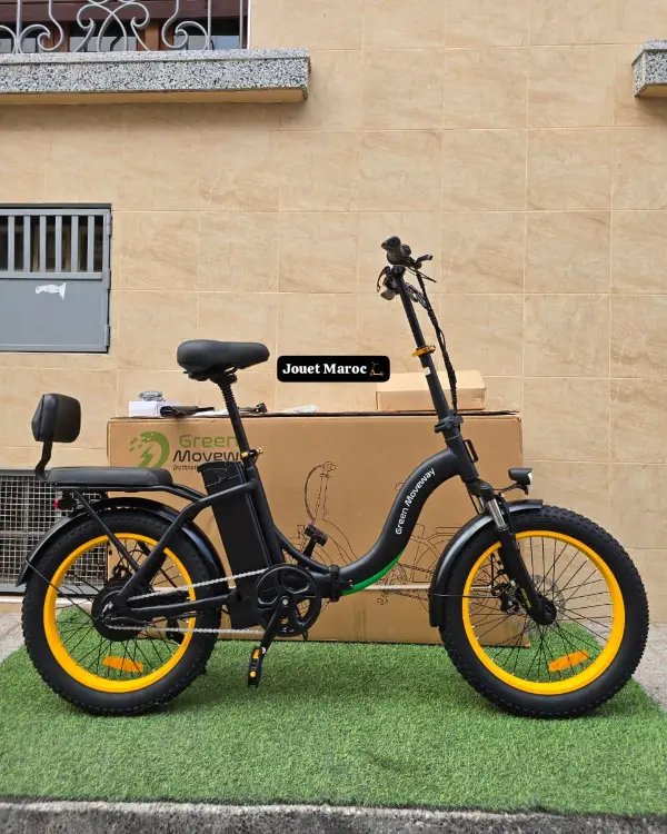 vélo électrique GREEN MOVEWAY E12  03