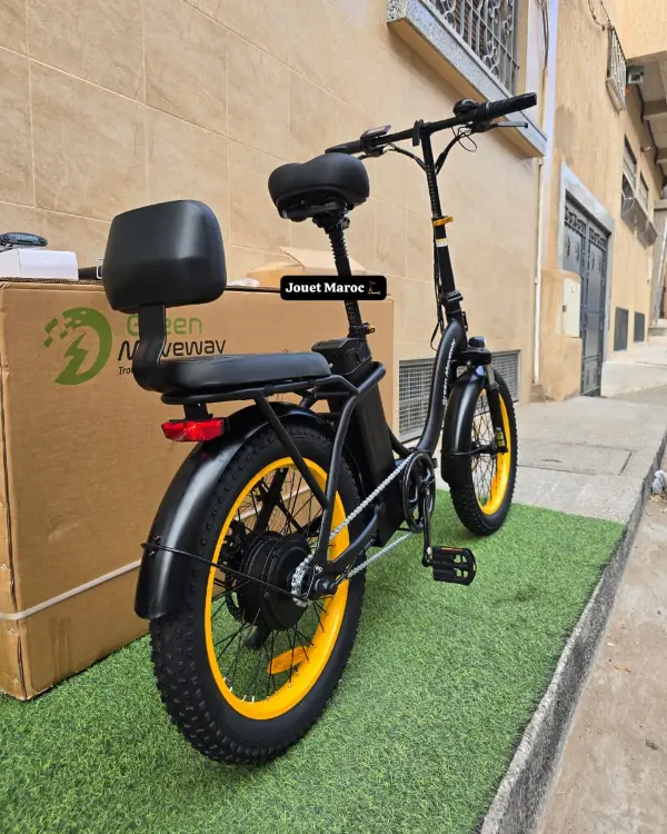 vélo électrique GREEN MOVEWAY E12  04