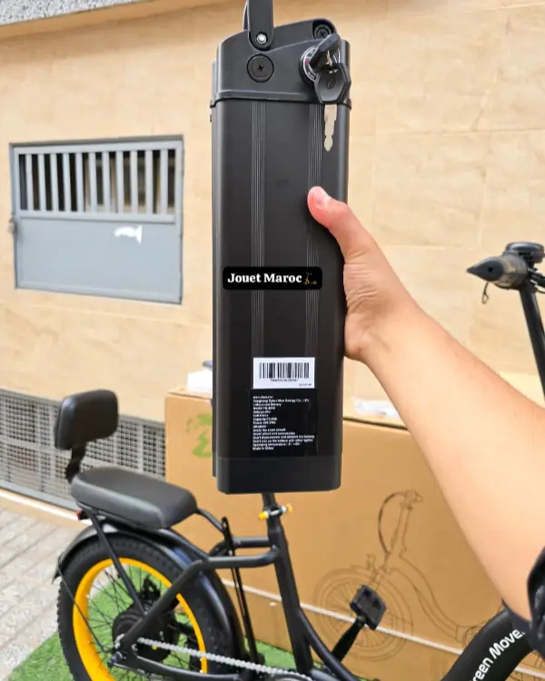 vélo électrique GREEN MOVEWAY E12  05