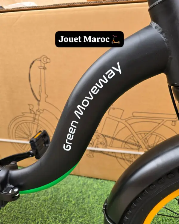 vélo électrique GREEN MOVEWAY E12  06