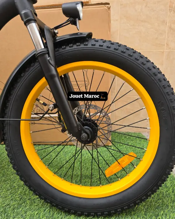vélo électrique GREEN MOVEWAY E12  07