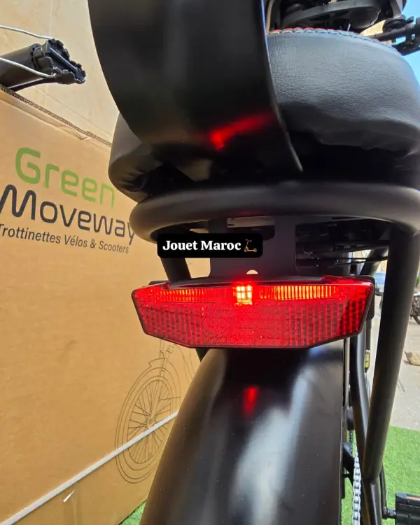 vélo électrique GREEN MOVEWAY E12  09