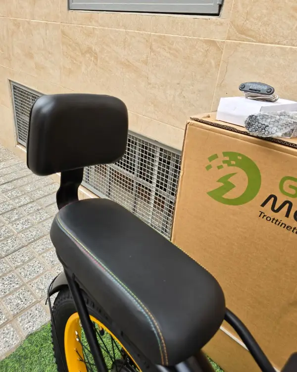vélo électrique GREEN MOVEWAY E12  10