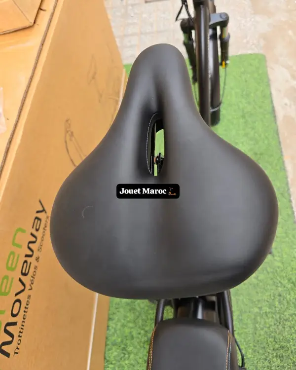 vélo électrique GREEN MOVEWAY E12  11