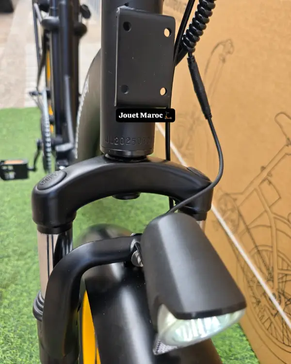 vélo électrique GREEN MOVEWAY E12  12