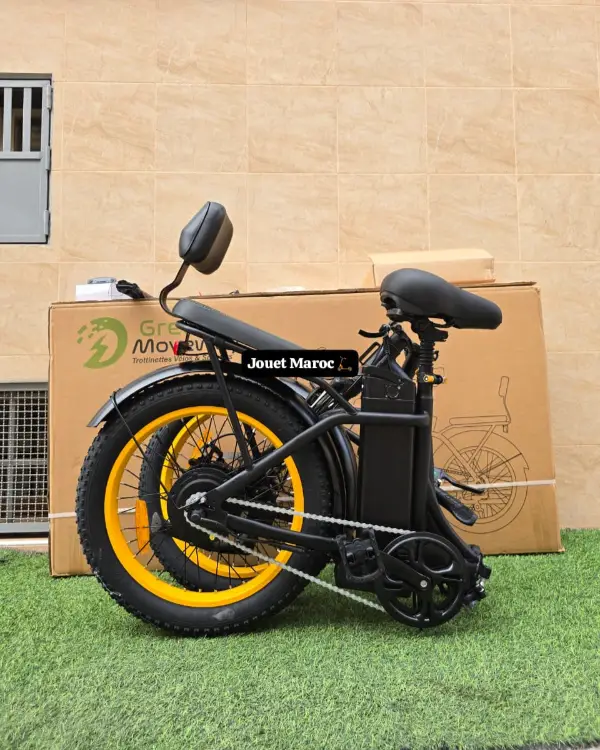 vélo électrique GREEN MOVEWAY E12  13