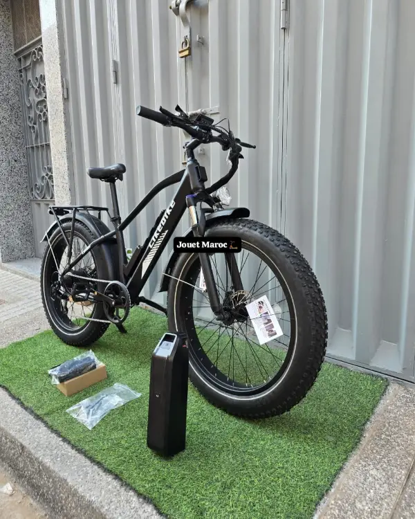 Vélo électrique likebike Lander PRO 02