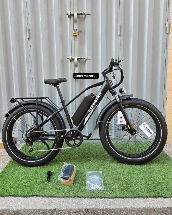 Vélo électrique likebike Lander PRO 03