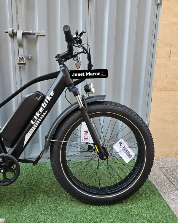 Vélo électrique likebike Lander PRO 11