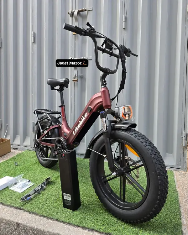 Vélo électrique likebike RAIL 5 02