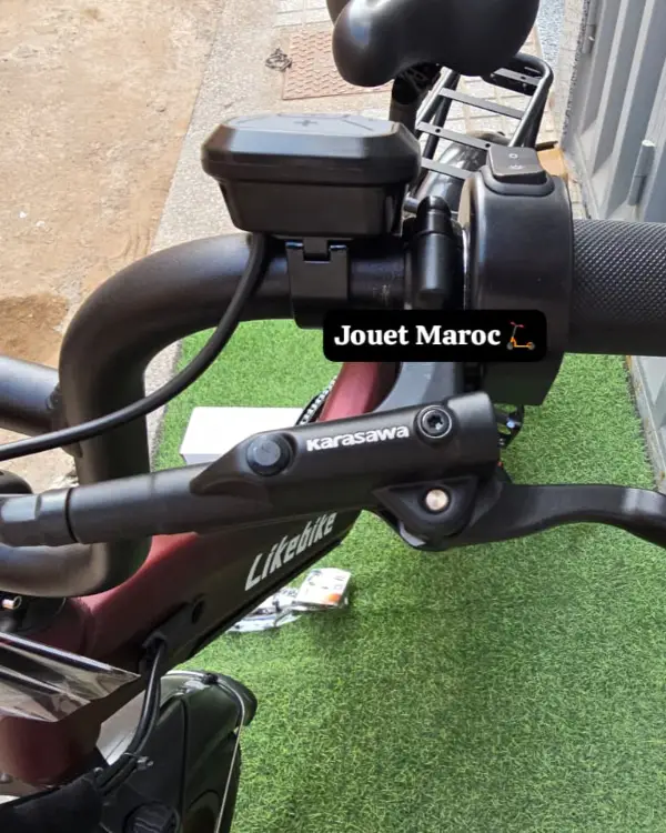 Vélo électrique likebike RAIL 5 07
