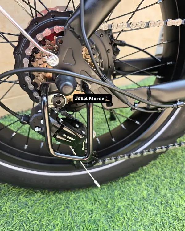 vélo électrique Likebike Shine Pro 06