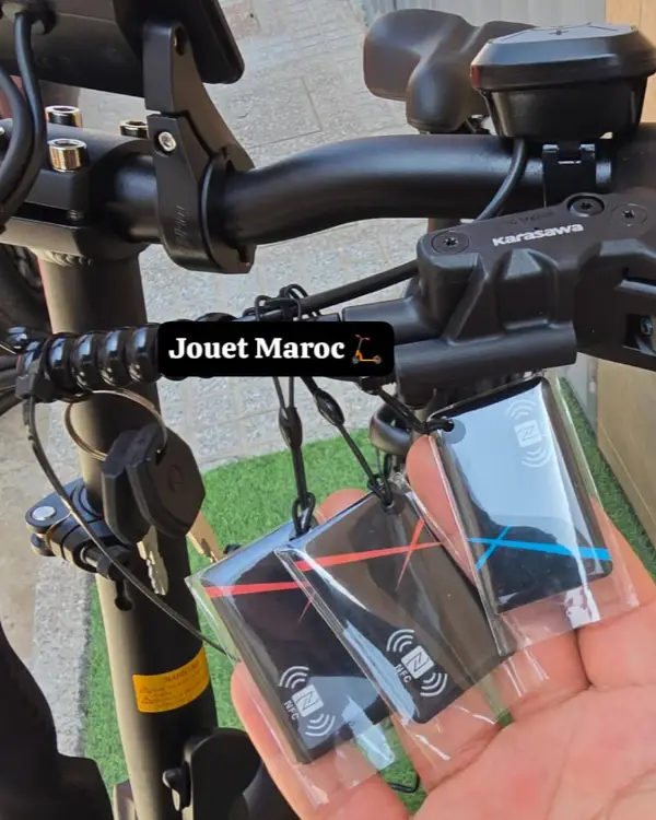 vélo électrique Likebike Shine Pro 10