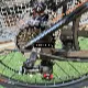Miniature 7