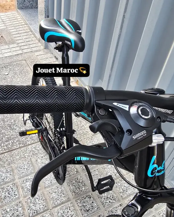 Vélo VTT HAOMENG 20 pouces 06