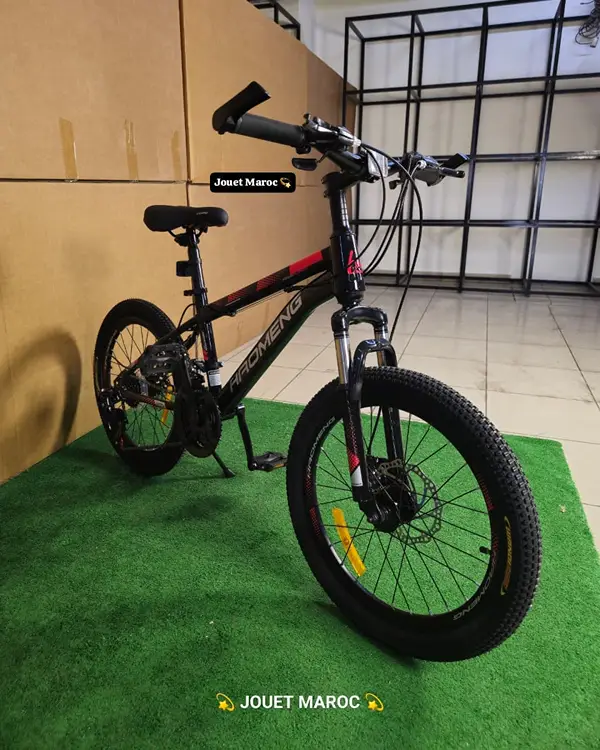 Vélo VTT HAOMENG 20 pouces 09
