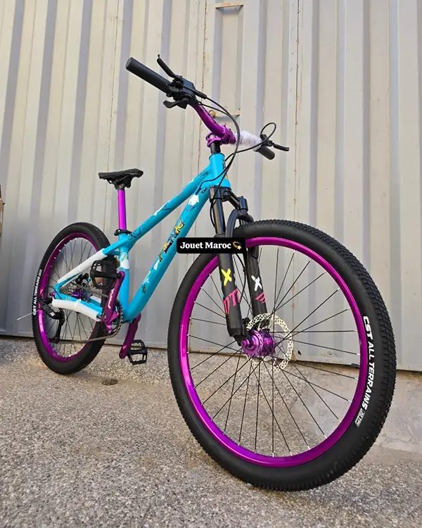 Vélo VTT Street MTB Pink Aluminium 26 pouces 02