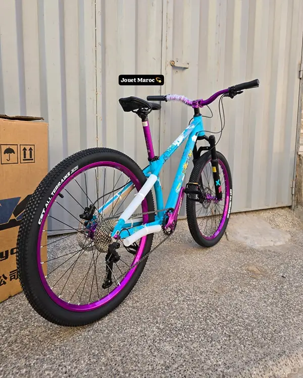 Vélo VTT Street MTB Pink Aluminium 26 pouces 04