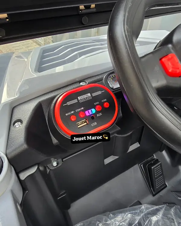 Voiture électrique Buggy Mini 4×4 06