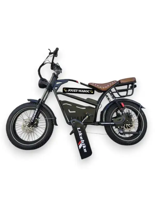 VÉLO ÉLECTRIQUE HARLEY U9